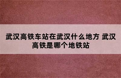 武汉高铁车站在武汉什么地方 武汉高铁是哪个地铁站